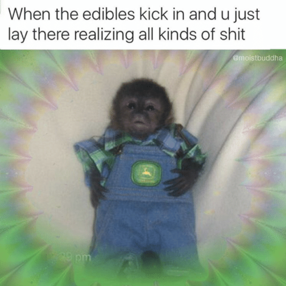 Small Monkey In John Deere Overalls Meme Small Monkey In John Deere Overalls Know Your Meme