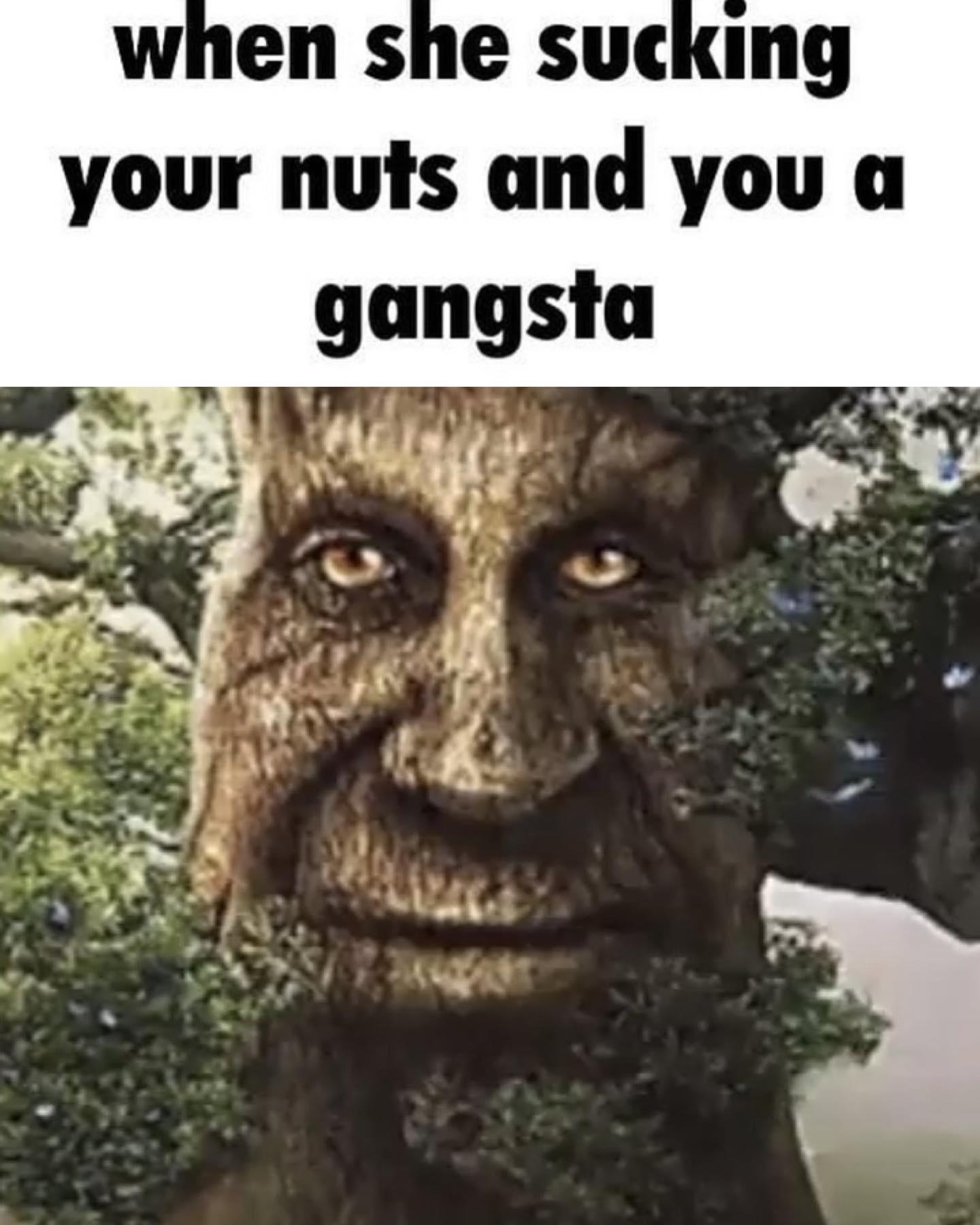 When She Sucking Your Nuts And You A Gangsta (Wise Mystical tree