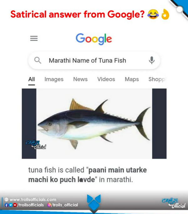 Marathi Name Of Tuna Fish Marathi Name of Tuna Fish Know Your Meme
