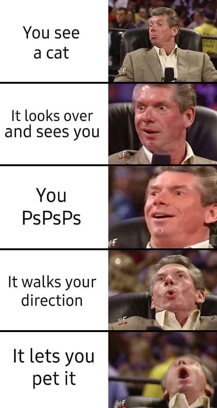 The Best Feeling R Wholesomememes Wholesome Memes Know Your Meme