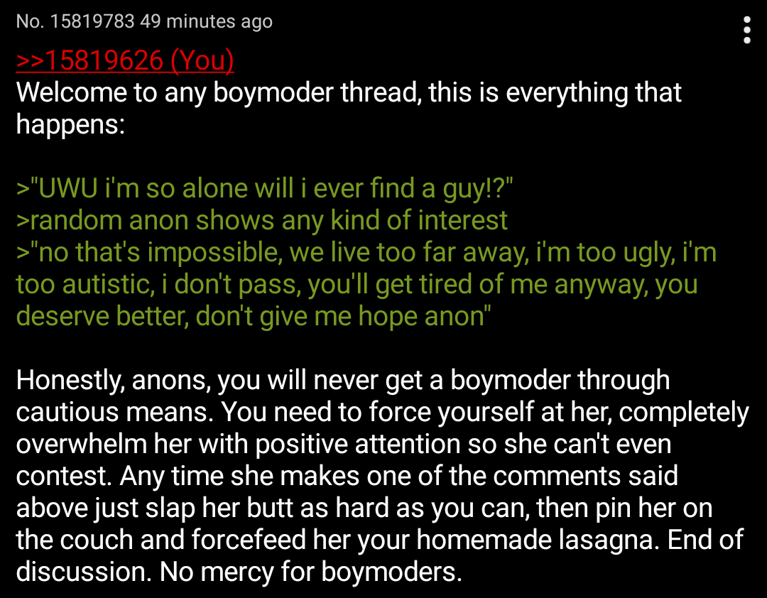 Anon Summarizes Any Boymoder Thread Boymoder Know Your Meme