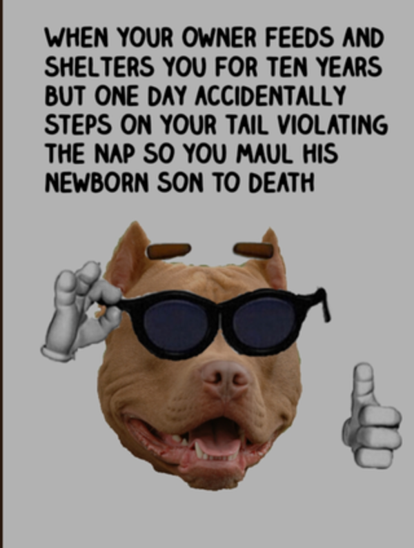 AntiPitbull Memes Pitbulls vs. Toddlers Know Your Meme