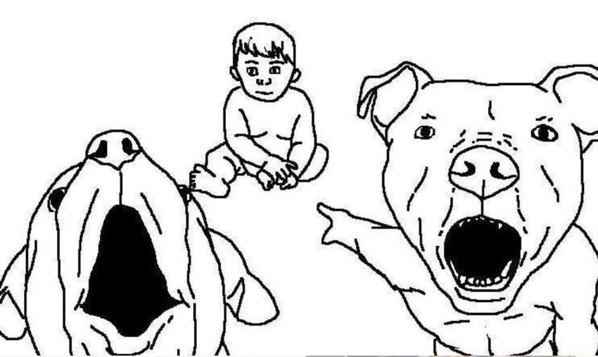 AntiPitbull Memes Pitbulls vs. Toddlers Know Your Meme