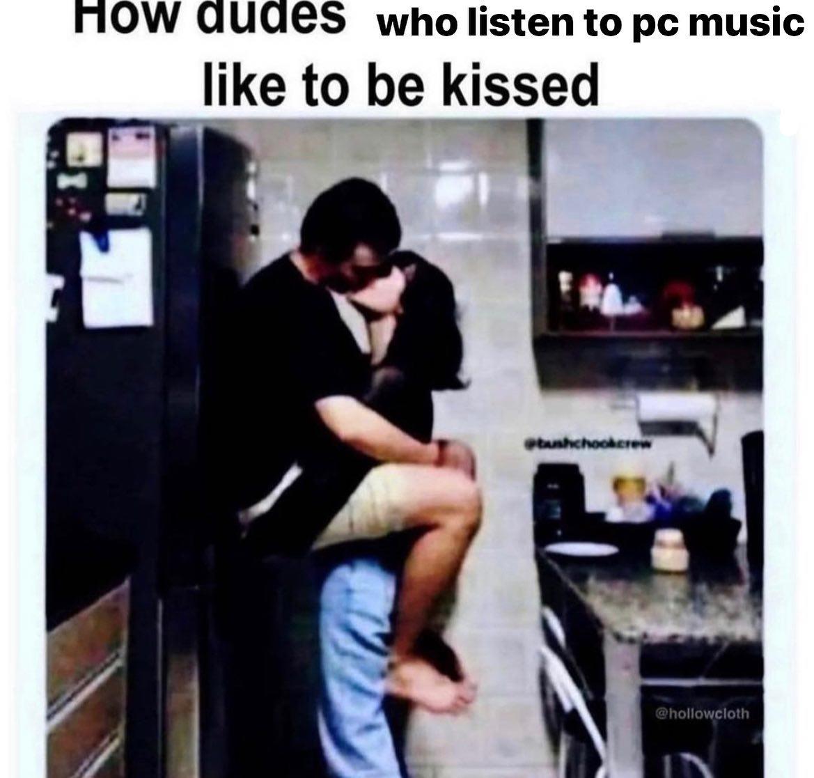 Couple Kissing Against a Fridge (Meme) Couple Kissing Against a