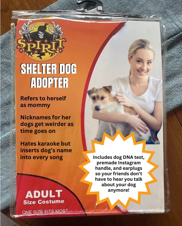 spirit Fake Spirit Halloween Costumes Know Your Meme