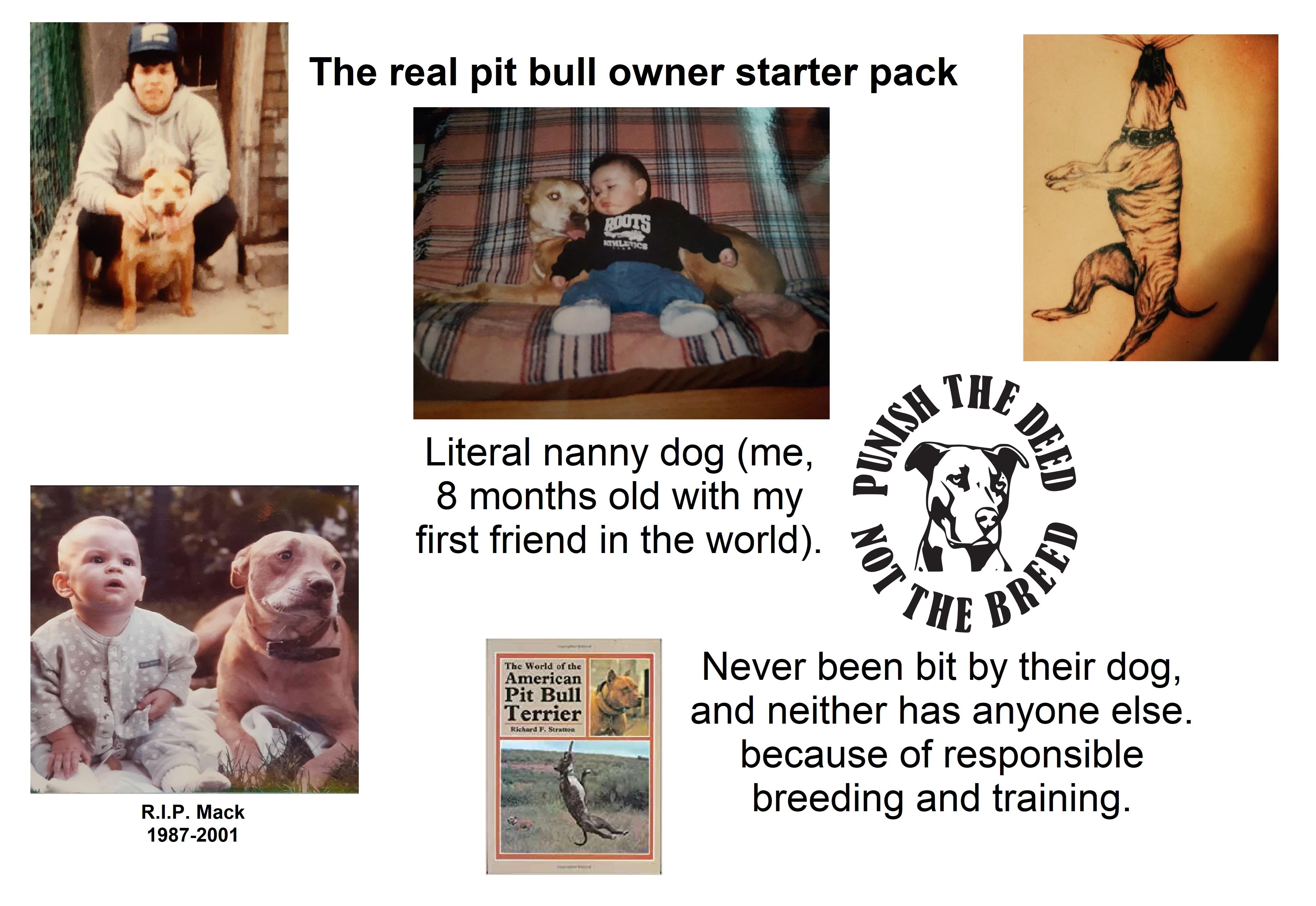 The family dog starter pack /r/starterpacks Starter Packs Know