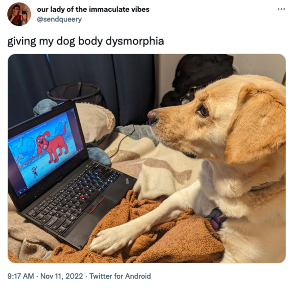 Giving Him Body Dysmorphia Giving My Pet Body Dysmorphia Know Your Meme