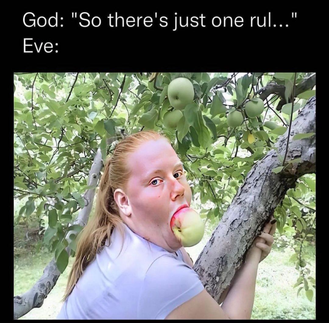 Should've been Adam and Steve /r/dankmemes Know Your Meme