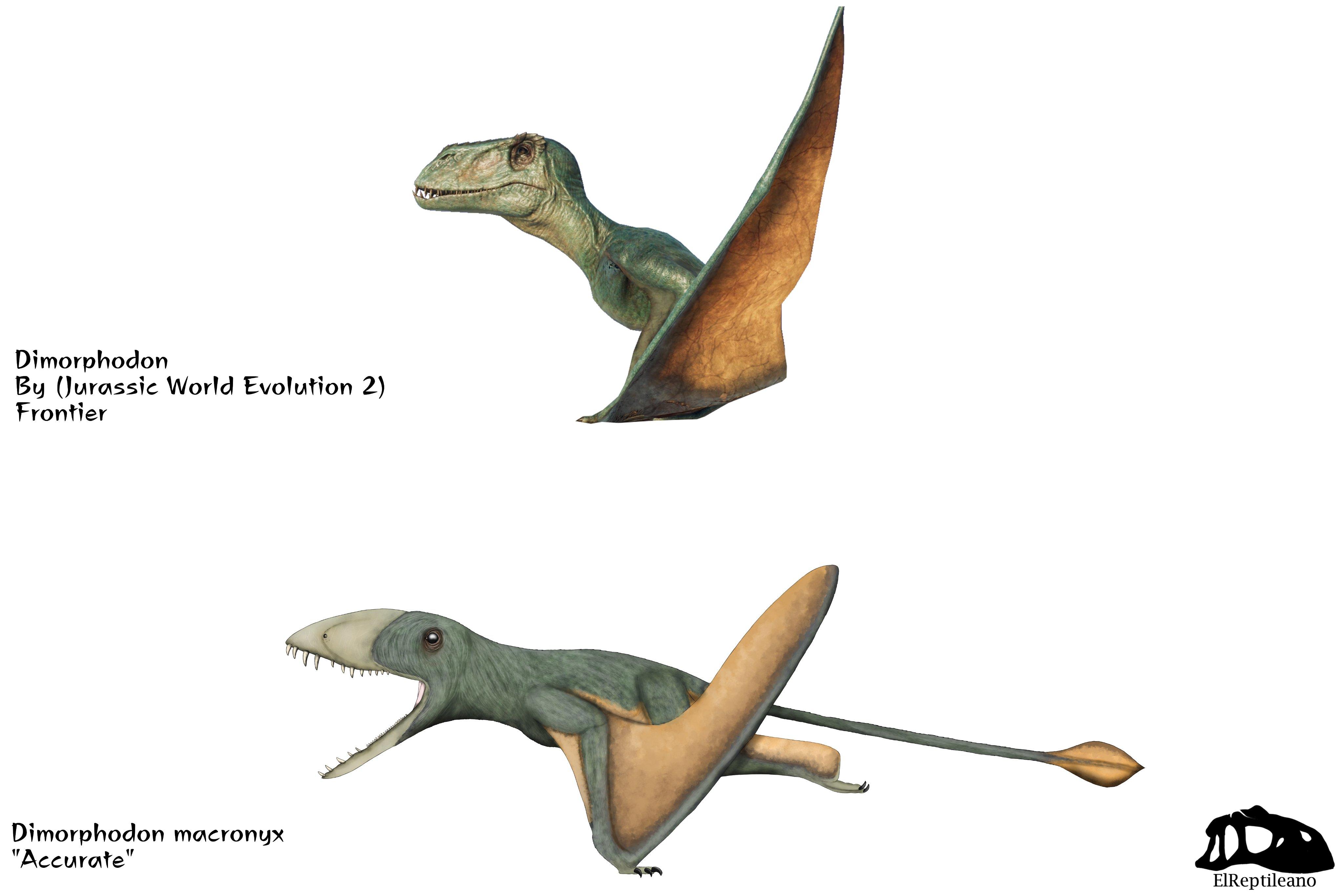 Science vs Jurassic world Dimorphodon | Jurassic Park | Know Your Meme
