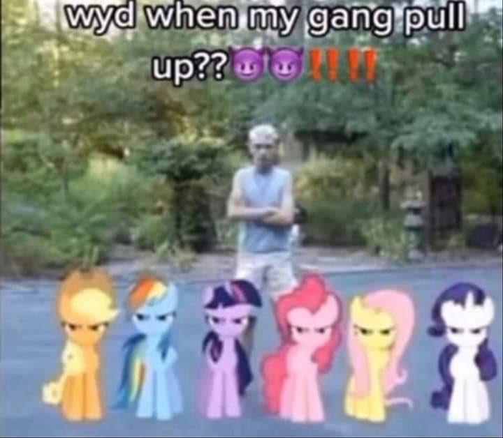 wyd-when-my-gang-pull-up-mlp-mlp-know-your-meme