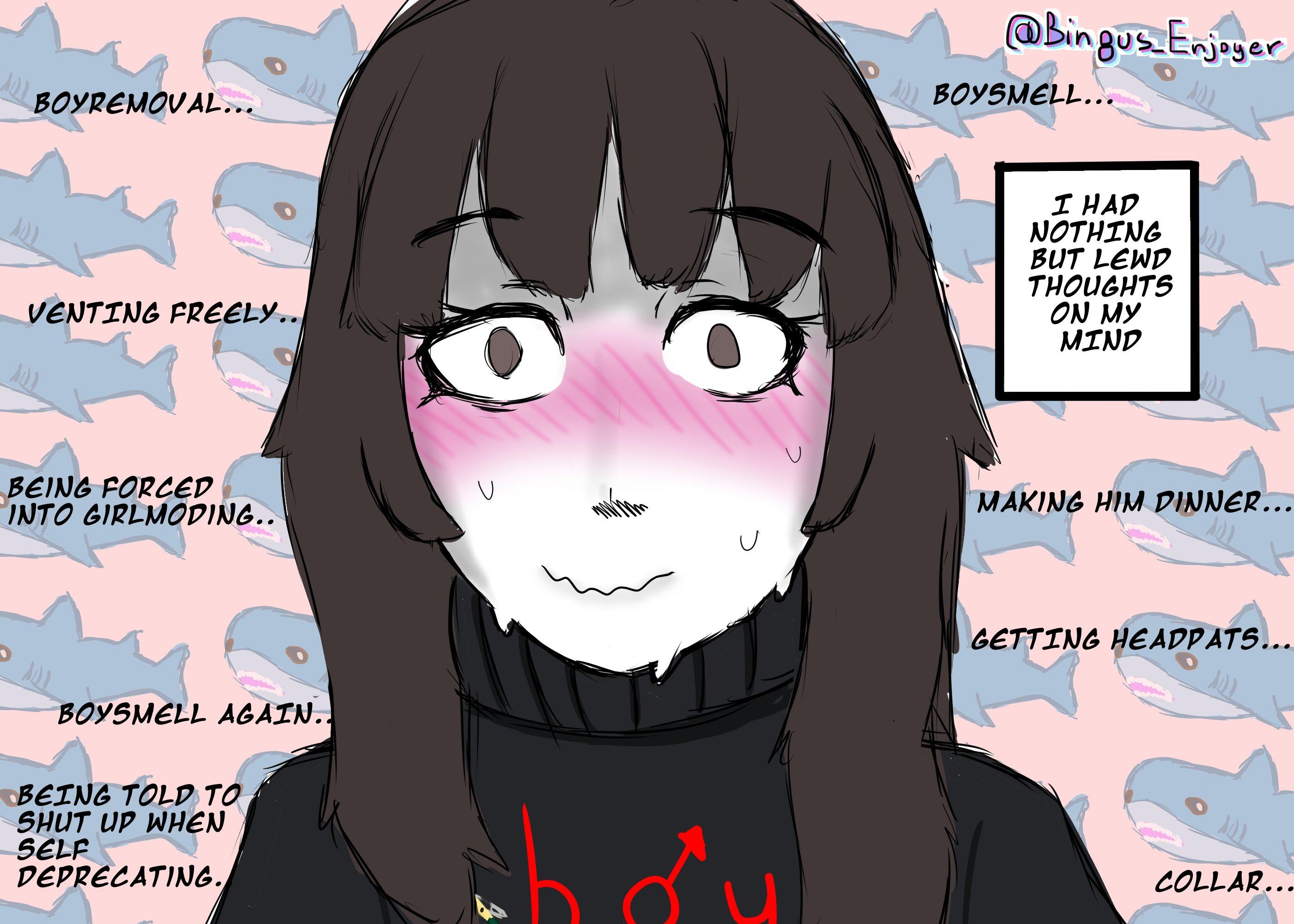 Boymoder had nothing but lewd thoughts | Boymoder | Know Your Meme