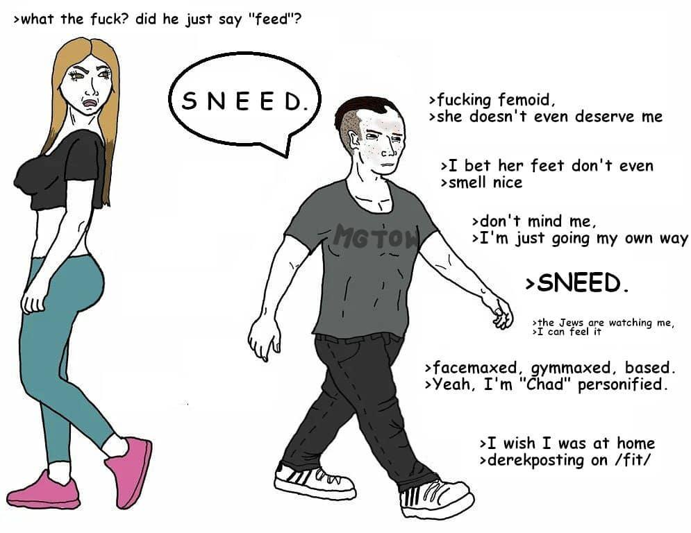 Femoid Meme Femoid Know Your Meme