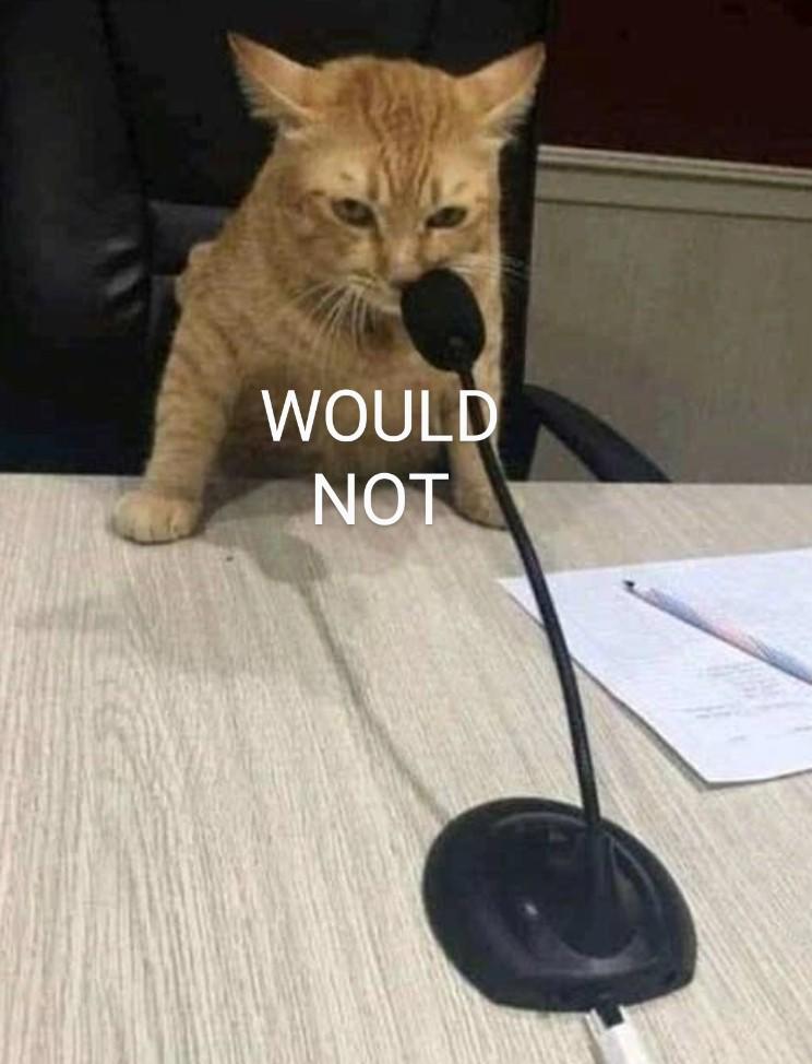 Would Not Microphone Cat Would Reaction Images Know Your Meme