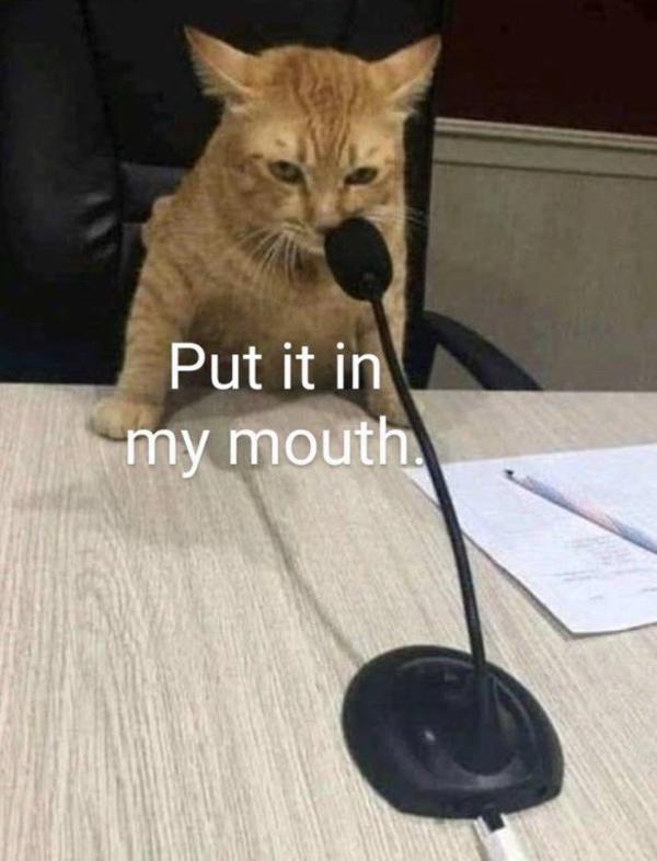 Put It in My Mouth Microphone Cat "Would" Reaction Images Know Your Meme