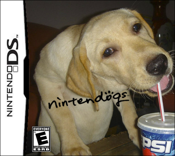 Nintendogs Pepsi Edition Pepsi Dog Know Your Meme