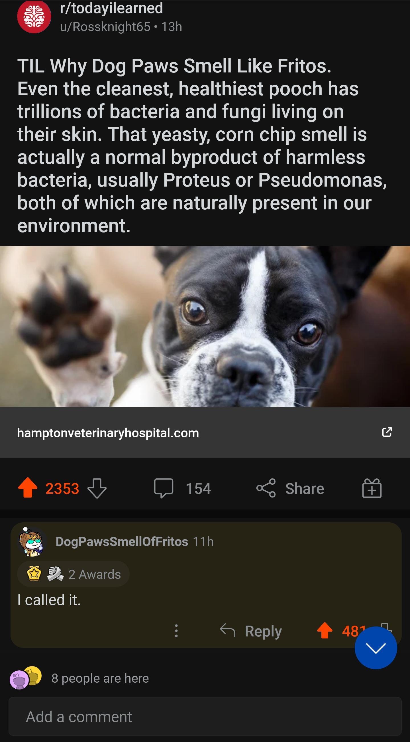 Dog paws smell like fritos /r/beetlejuicing/ Beetlejuicing Know
