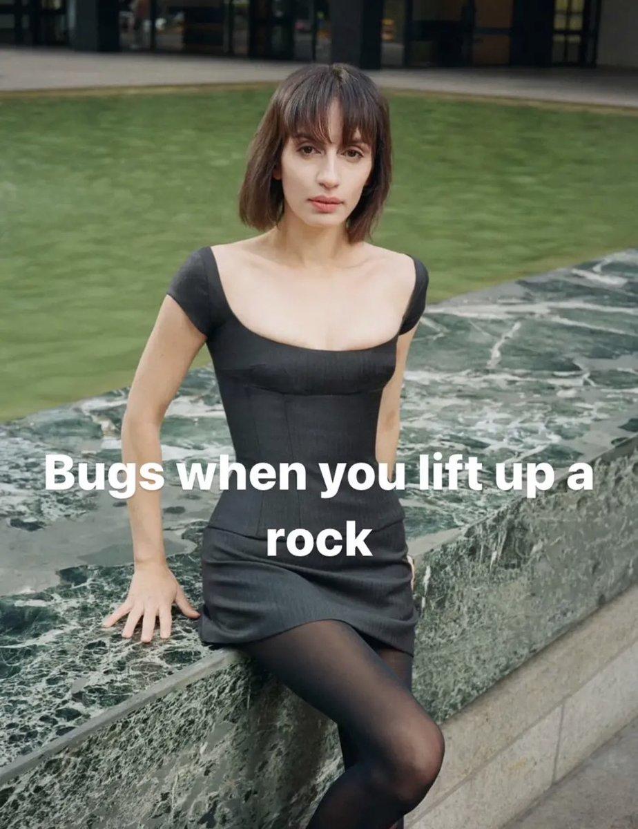 Bugs When You Lift Up A Rock (meme) | Bugs When You Lift Up A Rock ...