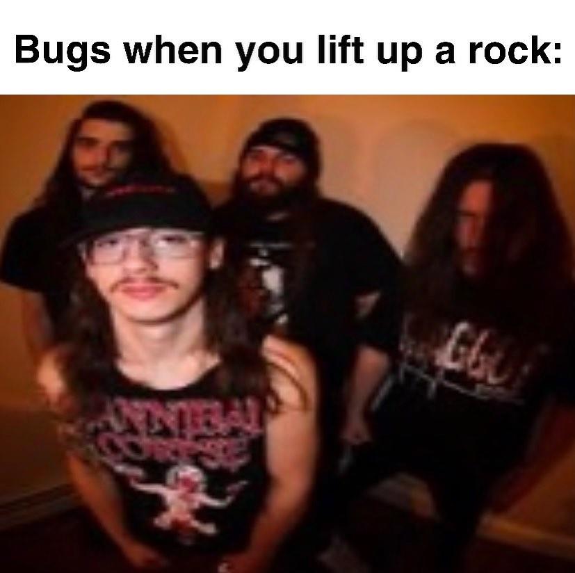 Bugs When You Lift Up A Rock (meme) Bugs When You Lift Up A Rock