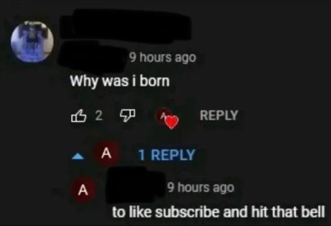 Why Was I Born YouTube Know Your Meme