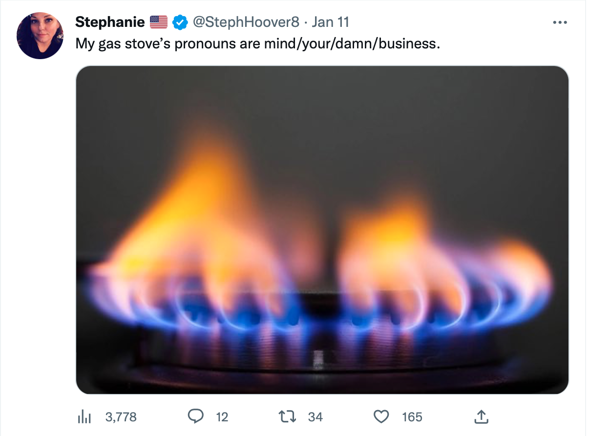Gas Stove Pronouns 2023 U.S. Gas Stove Ban Hoax Know Your Meme