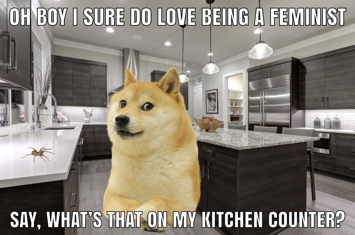 Le Bo Burnham song has arrived /r/dogelore Ironic Doge Memes Know