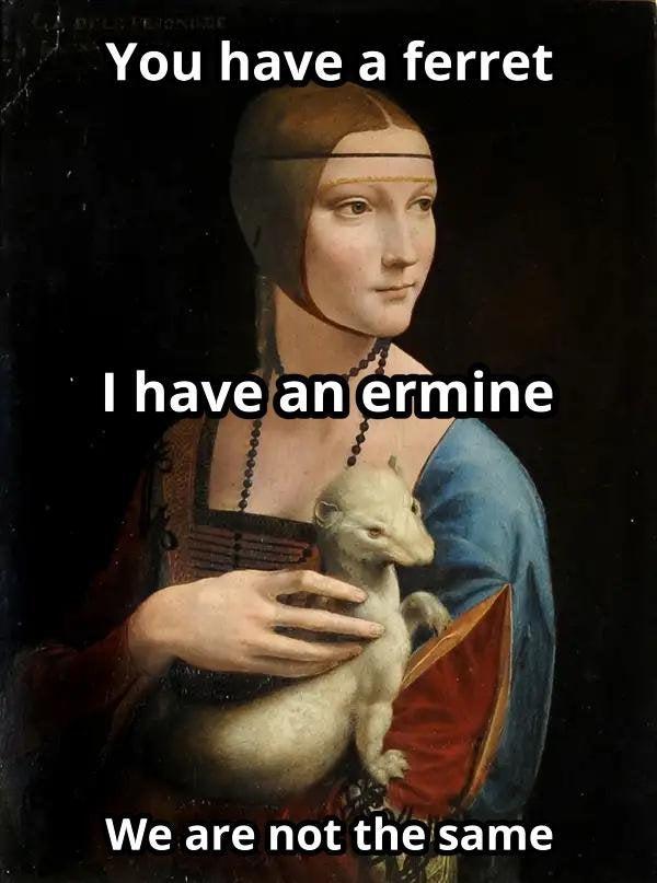 Fancy Ferret | Classical Art Memes | Know Your Meme