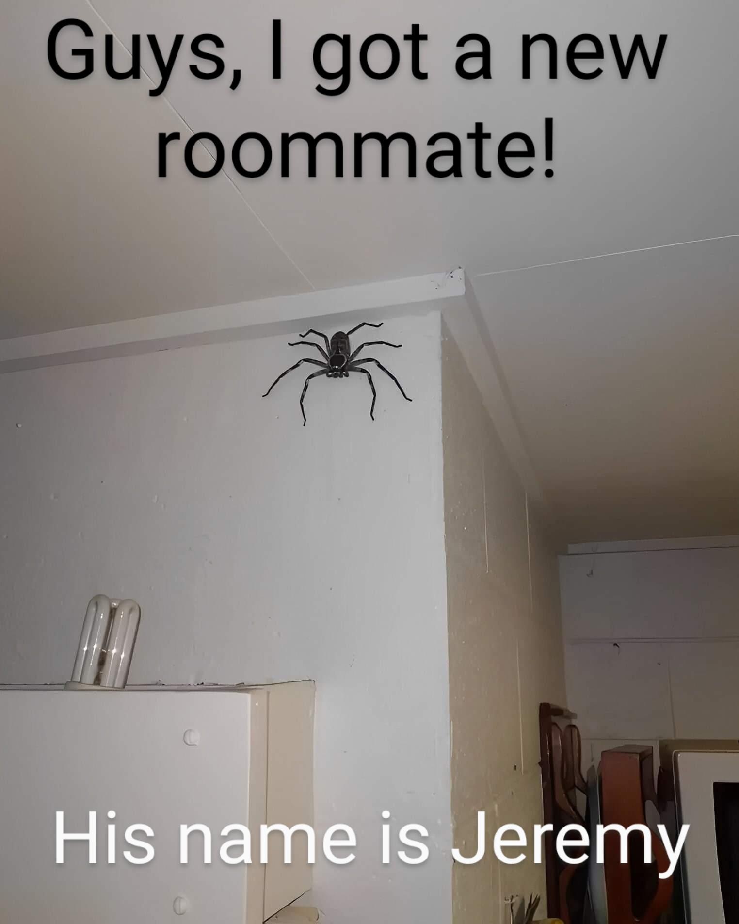 He helps alot with the bugs and stuff, so kind and helpful! /r/memes