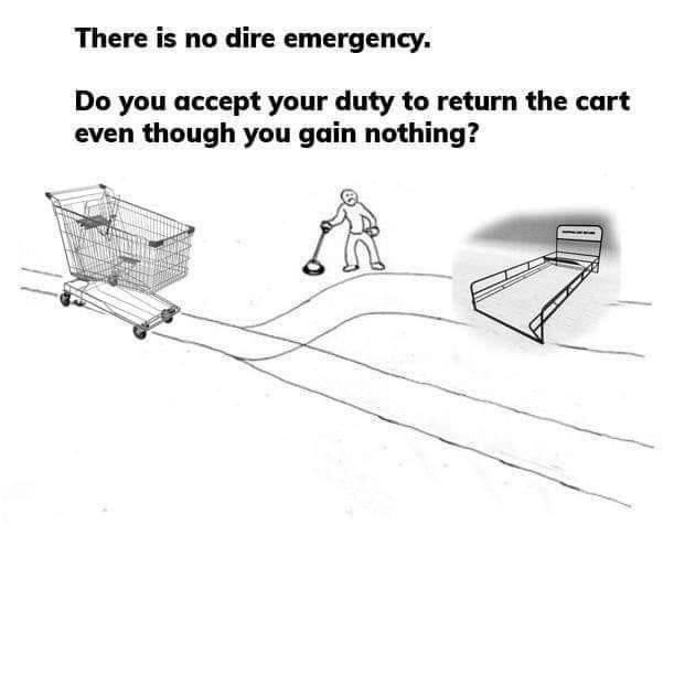 There Is No Dire Emergency. Do You Return the Cart The Shopping Cart