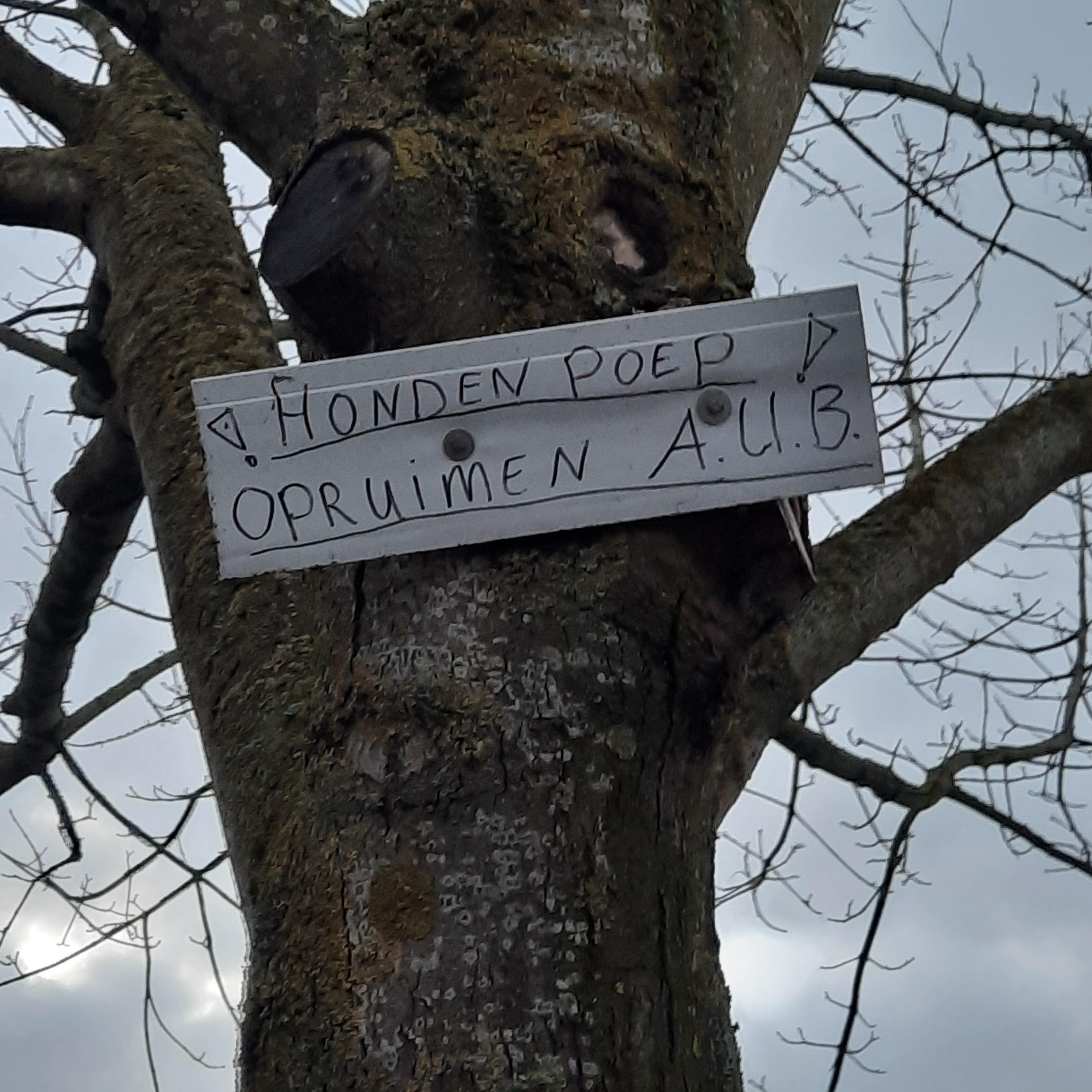 Karen thinks she owns the grass (pick up dog poop if you please) /r