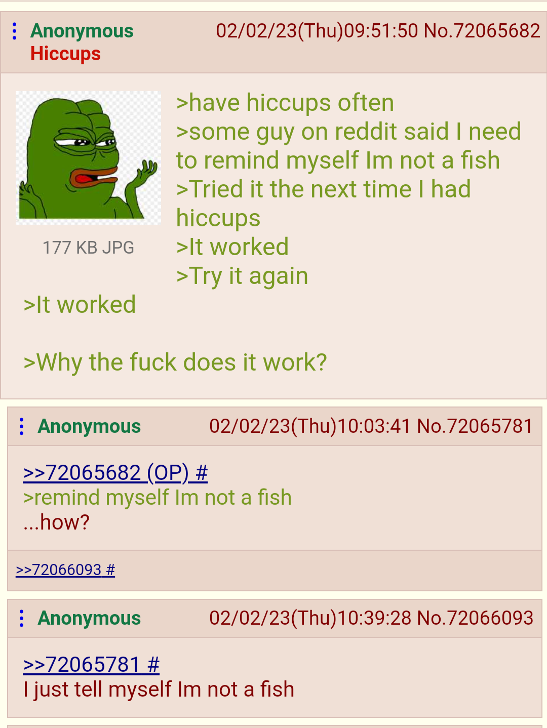 Anon is not a fish | /r/Greentext | Greentext Stories | Know Your Meme