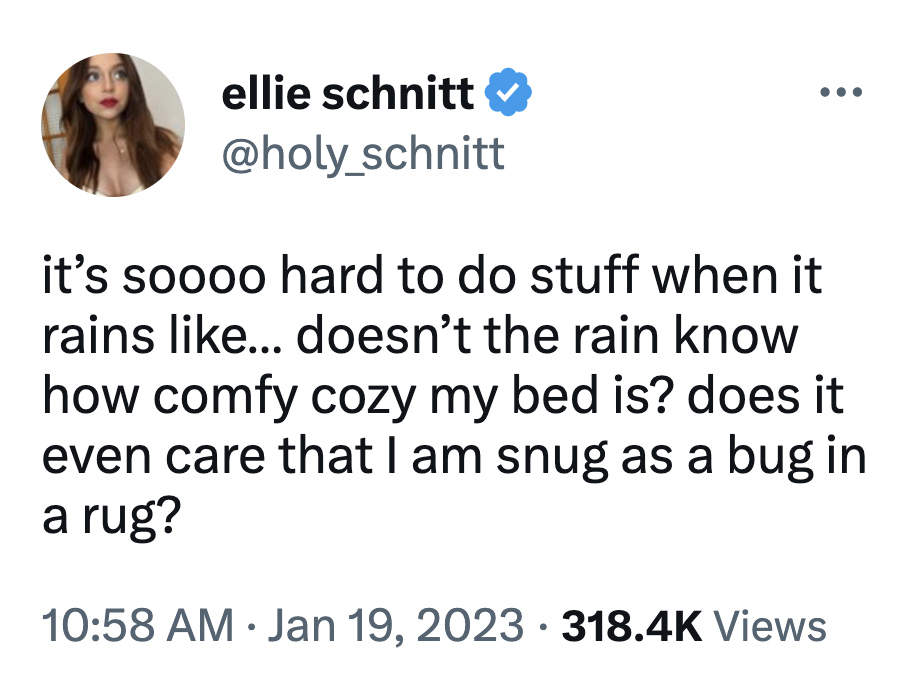 Snug as a Bug In a Rug (meme) Snug as a Bug In a Rug Know Your Meme