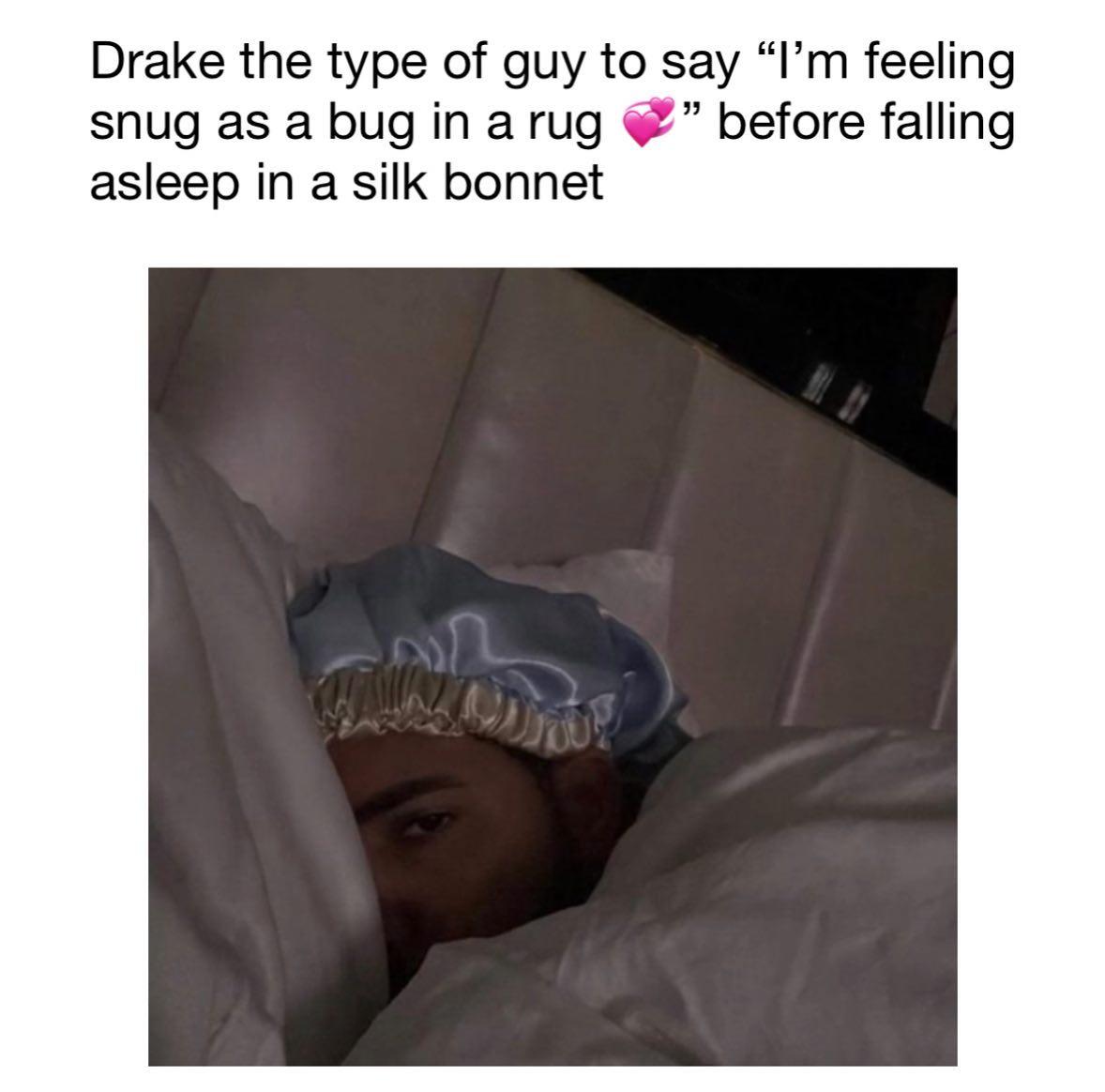 Snug as a Bug In a Rug (meme) Snug as a Bug In a Rug Know Your Meme