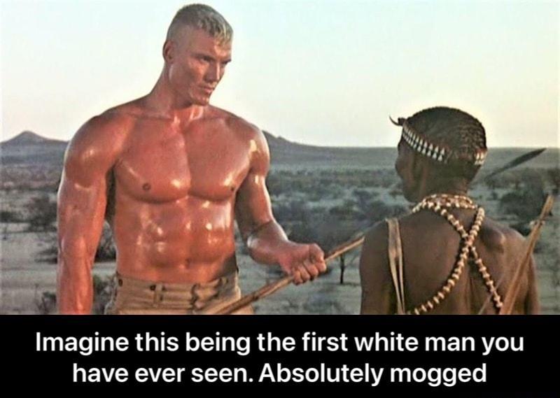 Mogged Meaning Understanding The Term And Its Cultural Significance