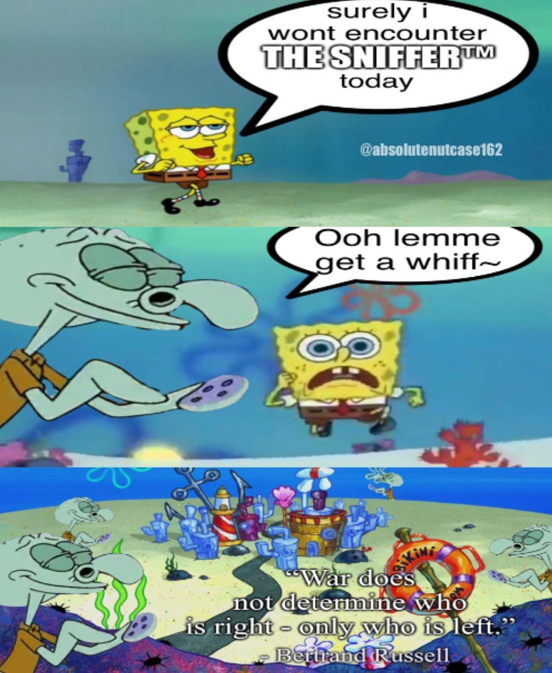 The Sniffer With A Knowledge Bomb Absolutenutcase162 s SpongeBob 