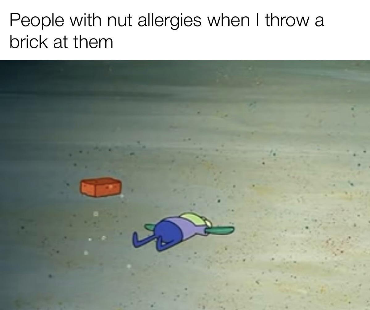 Sounds Like A Lotta Hoopla Over A Nut Allergy Right r dankmemes