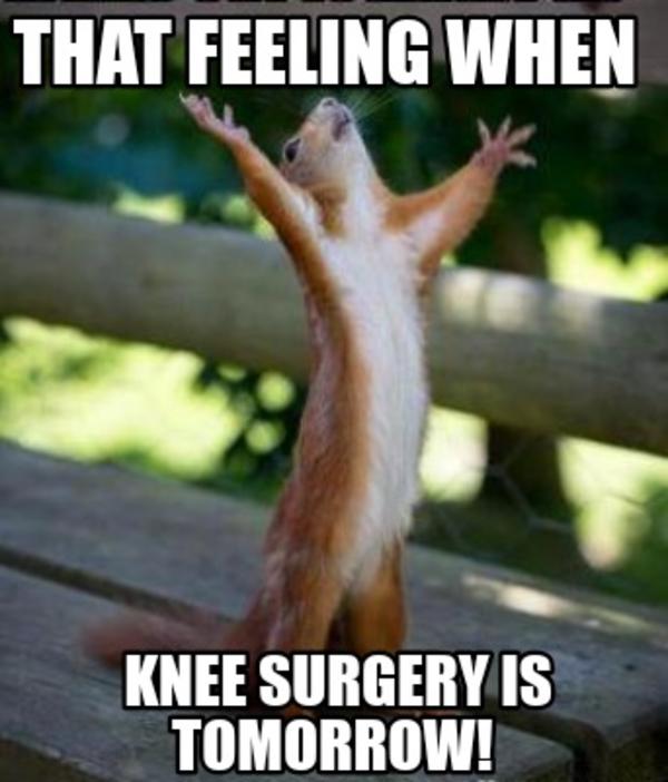 Squirrel tfw knee surgery tomorrow blue grinch that feeling when