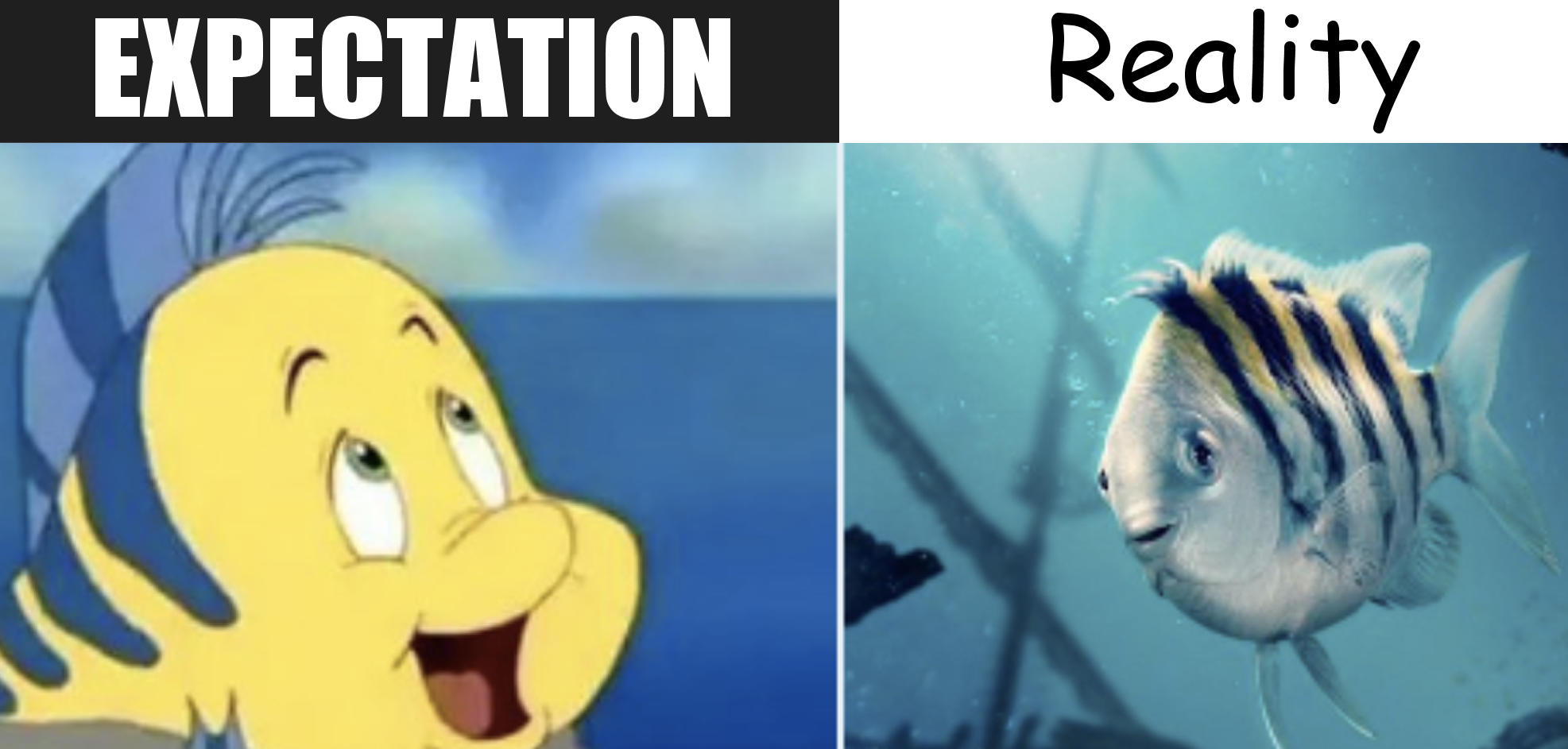 Expectation vs. Reality Liveaction Flounder Know Your Meme