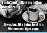 didntoutmilk in my coffee thismorning. It was just like being held in a Vietnamese tiger cage.