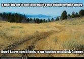 gnat hit meinthe face,while lwas ridingmbike todav Now I know how it feels to go hunting with D--- Cheney