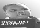 HOOD RAT 4-LYFE!!!