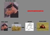 亅AK ER SNEL HEST: HESTMATEMATIK KLAPF KLAD HEST SNEL HEST HAVRE UND UND