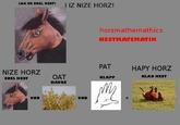 IAN ER SHEL HESTt' I IZ NIZE HORZ! horzmathemathics HESTHASEMATI PAT HAPY HORZ NIZE HORZ OAT HAVRE KLAD H EST