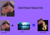 HESTMATEMATIK H20 snel hest snel sjöhest
