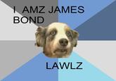 | AMZ BOND BAND JAMES LAWLZ