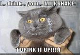 idrinkyo128502780212187500.jpg . drink... vour MILKSHAKE! I DRINK IT UP!!!!K