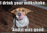 idrinkyourmil128647893557836735.jpg drink your milkshake And it was good.