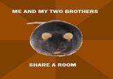 ME AND MY TWO BROTHERS SHARE A ROOM