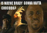 IS WAYNE BRADY GONNA HAFTA CHOCOBO?