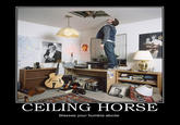 CEILING HORSE Blesses your humble abode