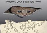 Where iz your Battlecatz now?